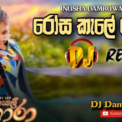 Rosa Kale Hora, රෝස කැලේ හොරා Behansi Ja DJ Remix