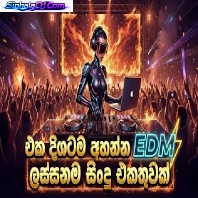 එක දිගටම අහන්න EDM Nonstop සිංදු එකතුවක් EDM Nonstop MP3 Download
